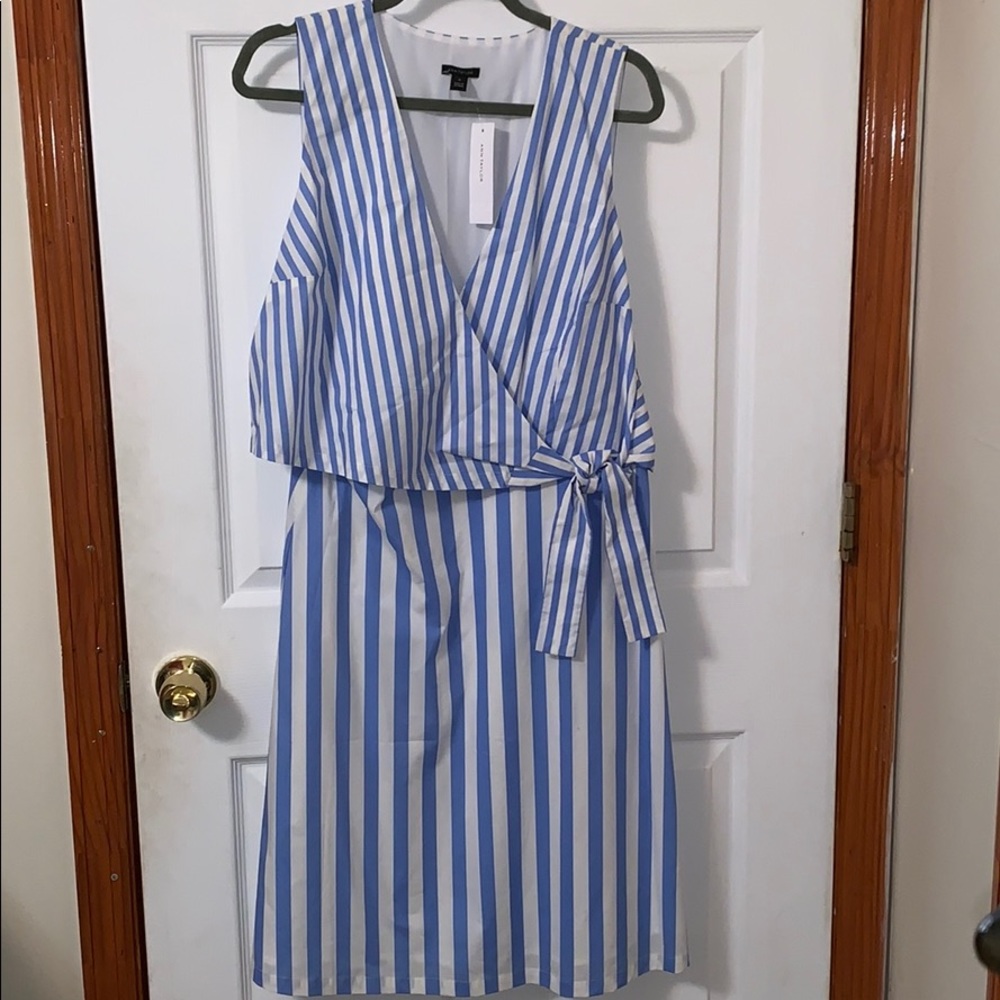 Ann Taylor dress